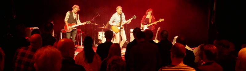 Tonight's the Night - Neil Young Tribute Band