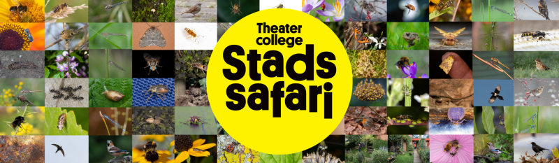 Stadssafari - van de makers van De Nieuwe Wildernis en De Wilde Noordzee