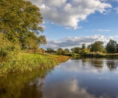 Excursie langs de Regge: door een uniek rivierengebied