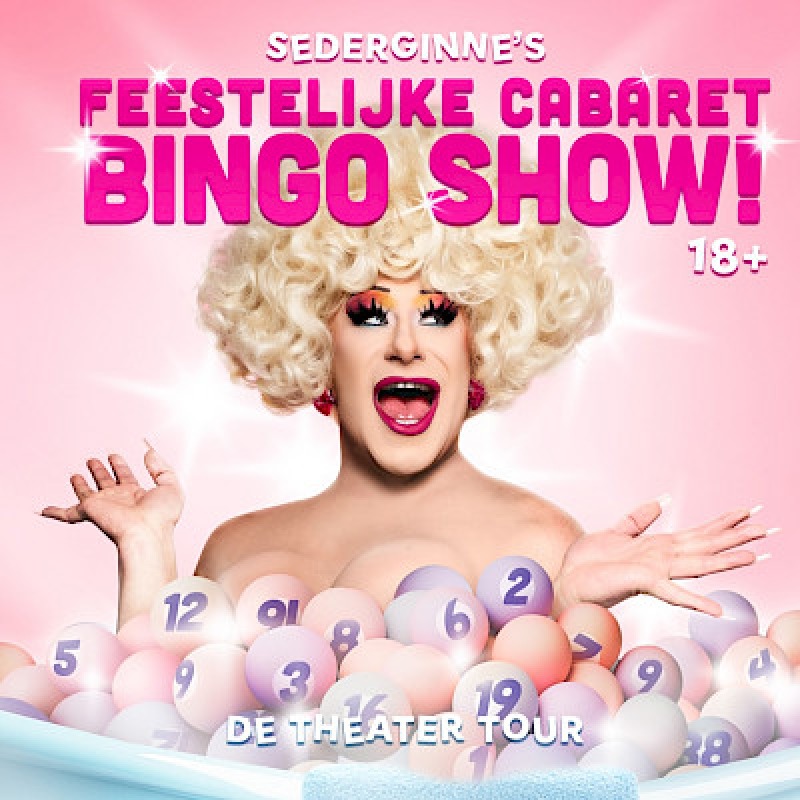 Feestelijke Cabaret B.I.N.G.O Show - Sederginne's