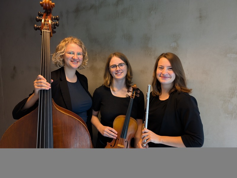 Schulhoff Trio