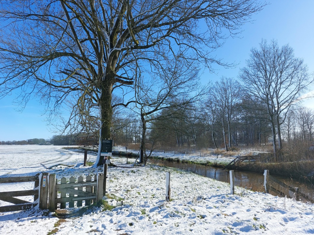 De Exosche Aa