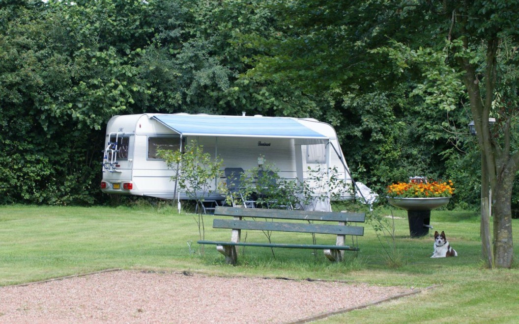Camping 'n Stork
