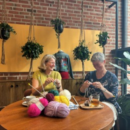 Twee vrouwen breien samen aan een tafel vol garen, planten hangen aan touwen in een gezellige ruimte.