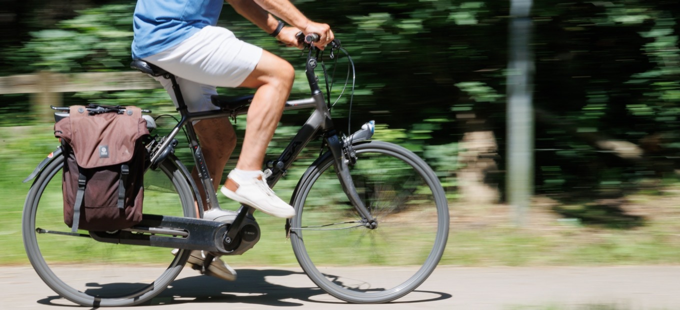 Fietsen in Holten