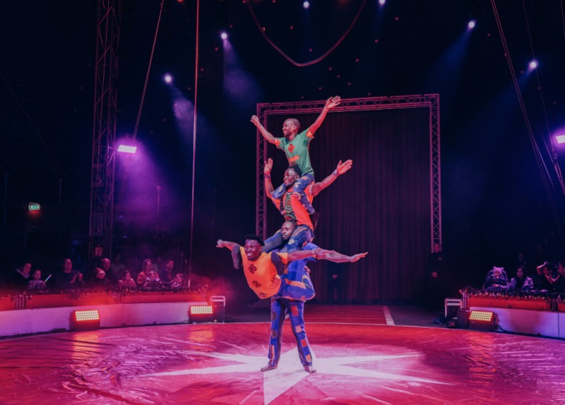 CIRCOVATION Wintercircus Zwolle - Beleef de absolute wereldtop van het circus