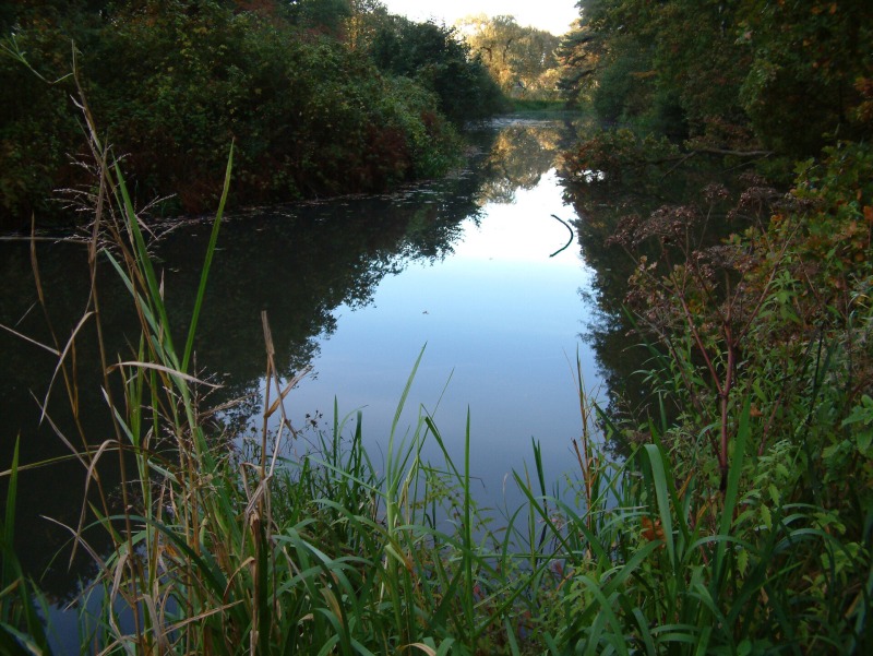 Herfstsafari langs de Regge - Wandel met de boswachter mee en geniet van de prachtige Steile Oever in de herfst.