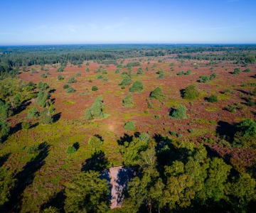 Heide uitzichtpunt Holterberg