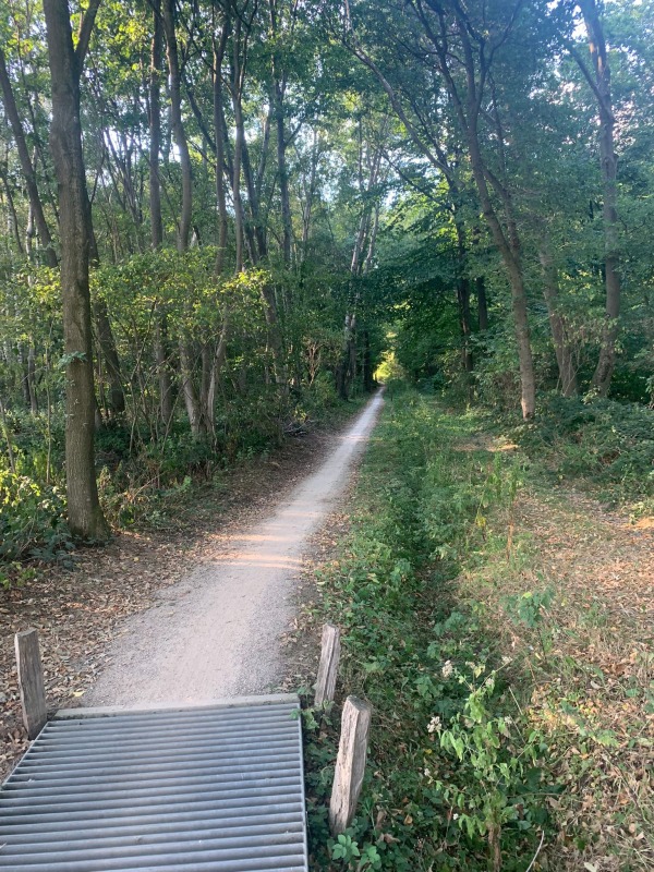 Jubileum fietstocht Gildehaus - Dinkelroute