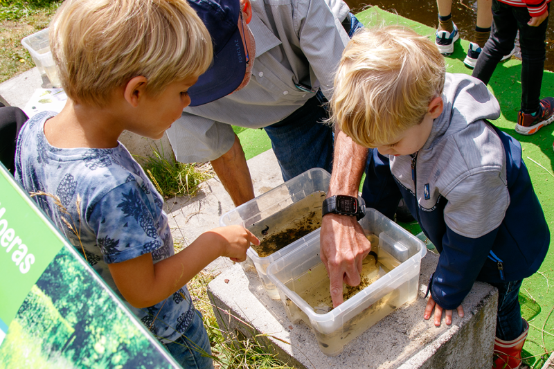 Groene Karavaan Festival