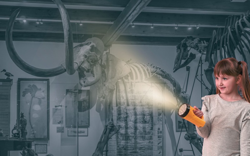 Night at the museum - Beleef Natura Docet in het duister