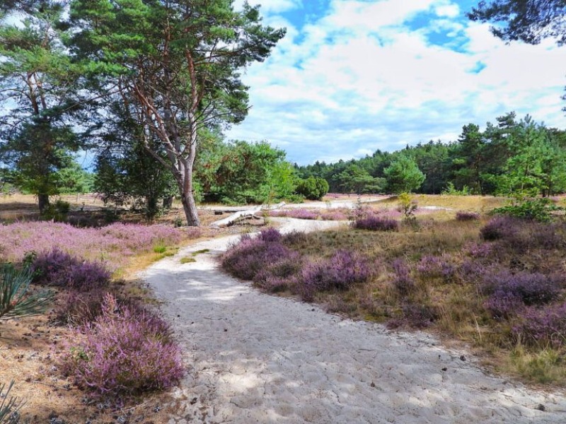 Inspiratiedag natuurbegraafplaats Hoogengraven