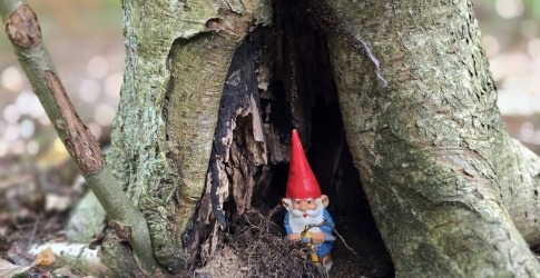 Een leuke wandelroute tussen de kabouters