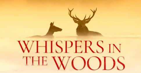 Whispers in the Woods