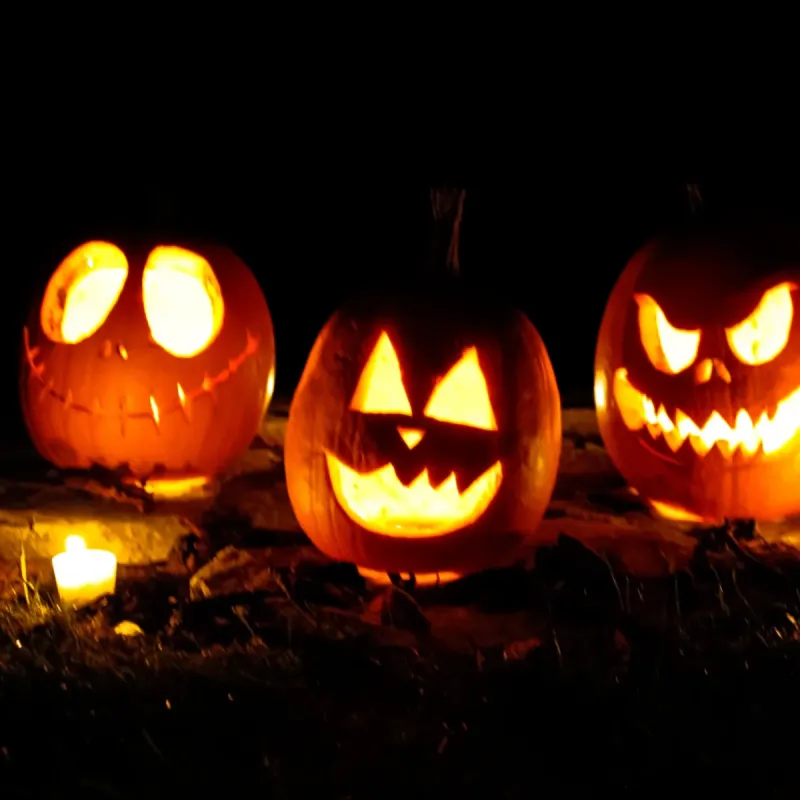 Halloween party bij De Vluchte
