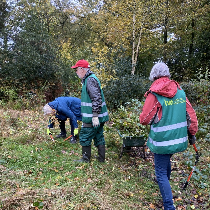 Natuurwerkdag IVN in Heemtuin 'De Goaren' - Hellendoorn-Nijverdal