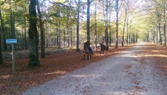 Paardrijnetwerk Twente