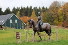 Horsetellerie Rheezerveen