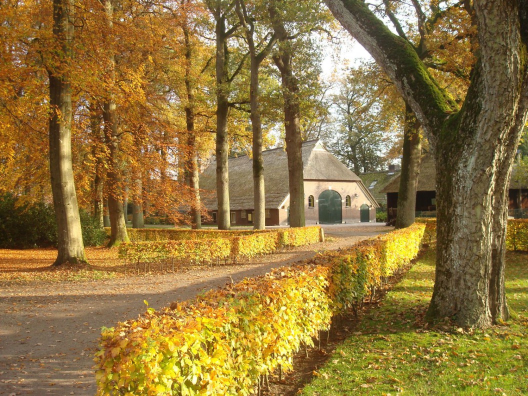 Landgoedcentrum Landgoed Vilsteren
