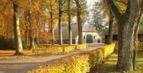 Concert jong talent Britten