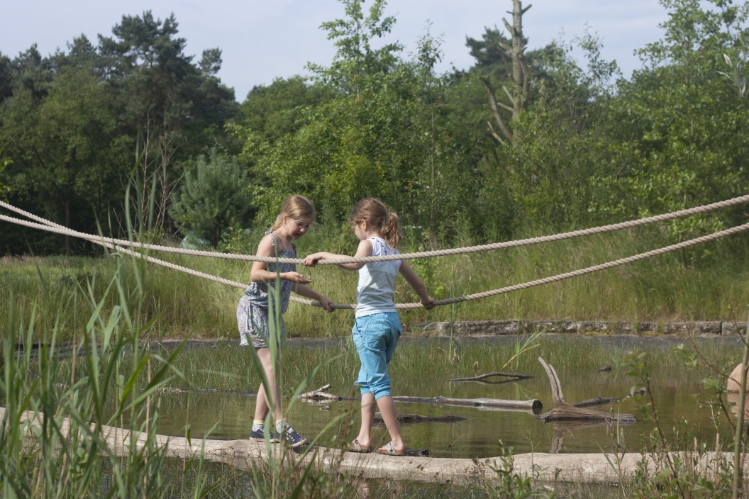 Natuurcamping De Lemeler Esch