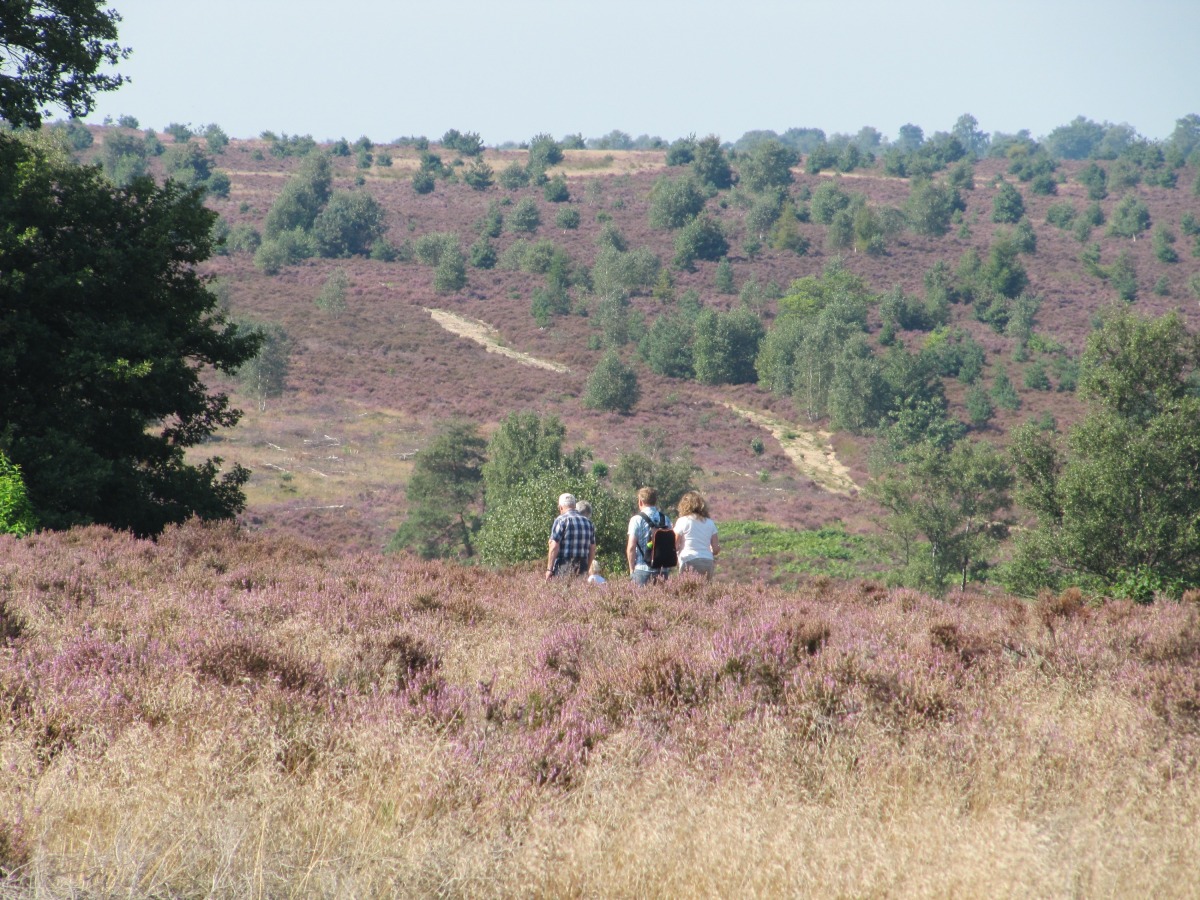 Nationaal Park Sallandse Heuvelrug - Sallandse Heuvelrug