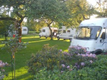 Camper- en Pleisterplaats Rabo Scheele