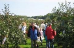 Vink Fruitboerderij
