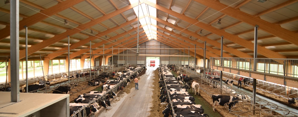 Anjerpunt Beerze