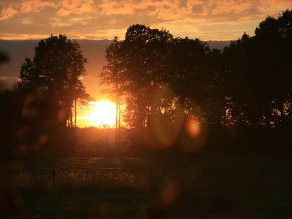 Farm camping De Beek photo 3