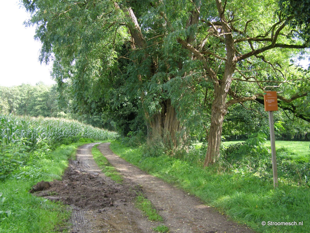 Wandelroute Stroom Esch Rode Route Visit Borne
