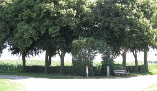 Mageler Es