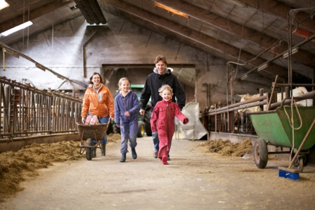 Koe in de Kost Verslingerd aan Salland