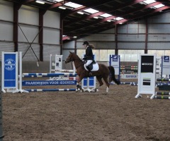 KNHS Indoor springen paarden