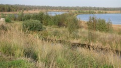 B & B Westerhoeven