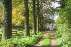 Wandelarrangement Havezate Den Alerdinck