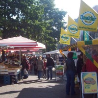 Markt Zwolle