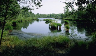 Het Witte Veen (Natuurmonumenten) | 8,6 km