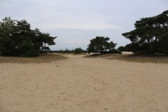 Natuurgebied De Zandbergen