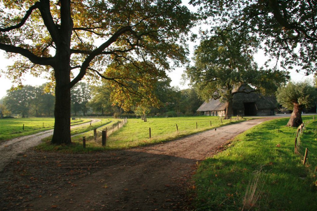 Boswachterij Ommen en Eerde