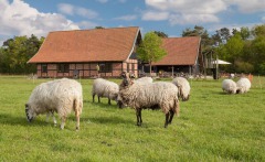 Schaapskooi Stroothuizen