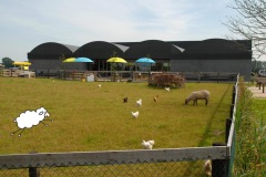 Biologische schapenmelkerij De Vreugdehoeve