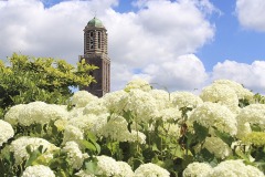 Onze Lieve Vrouwe Basiliek en Peperbustoren