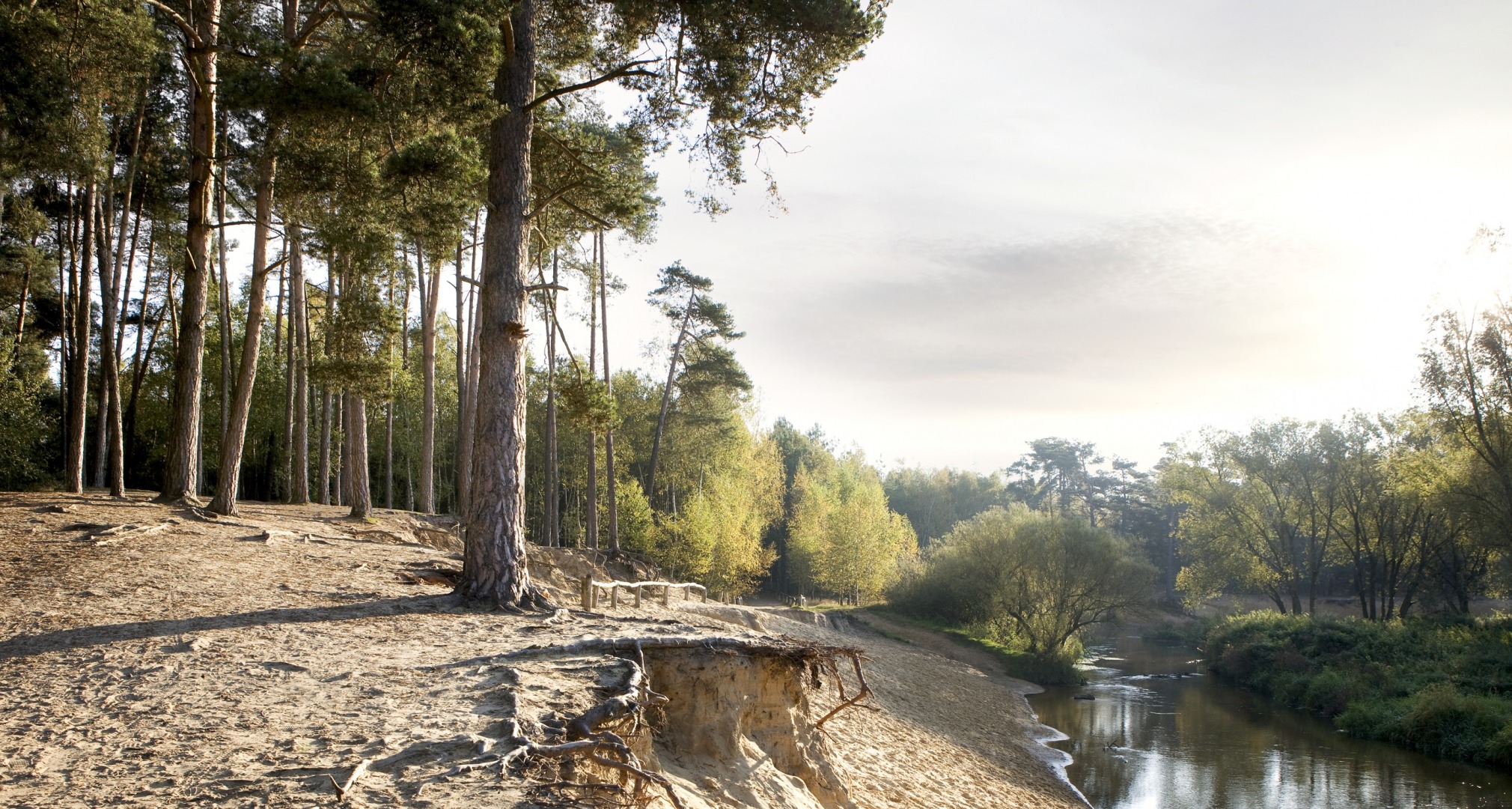 Top 5 wandelingen van Truus Wijnen - Visit Twente