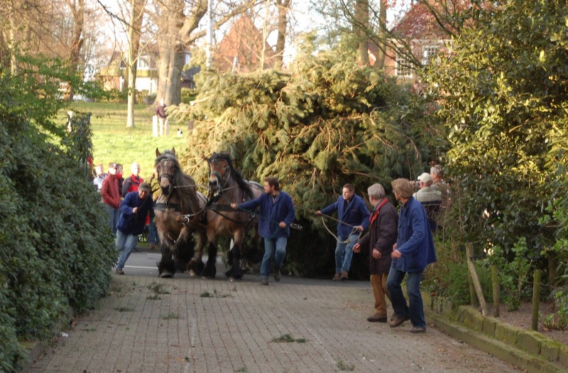 Paashout halen Ootmarsum