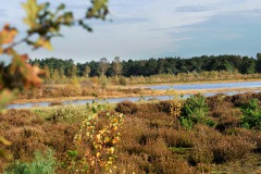 Natuurgebied De Bergvennen