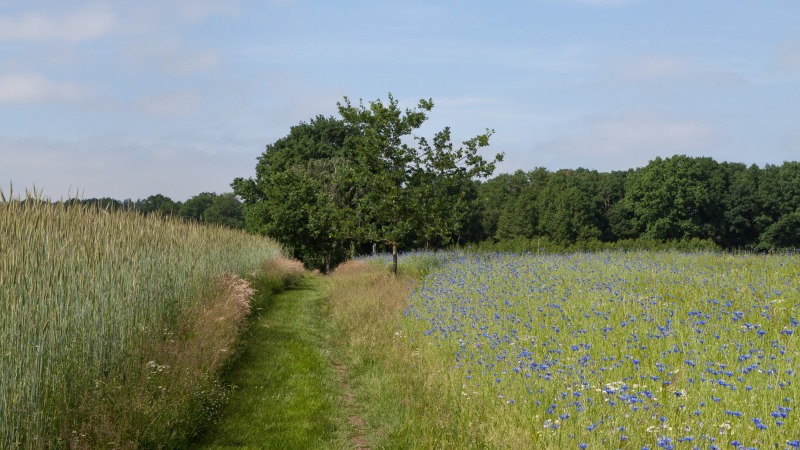 Hoeve Springendal