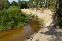 Die Natur Lutterzand