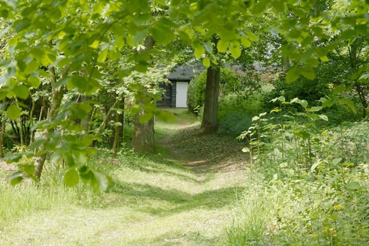 Camping Stepelerven - Photo 3