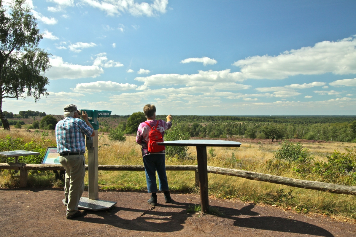 10 tips om te doen in Nationaal Park Sallandse Heuvelrug VisitOost